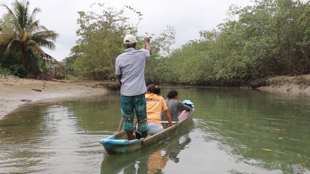 Barca introduciéndose en manglares en Ecuador